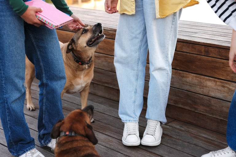 Woman with dog outdoors
