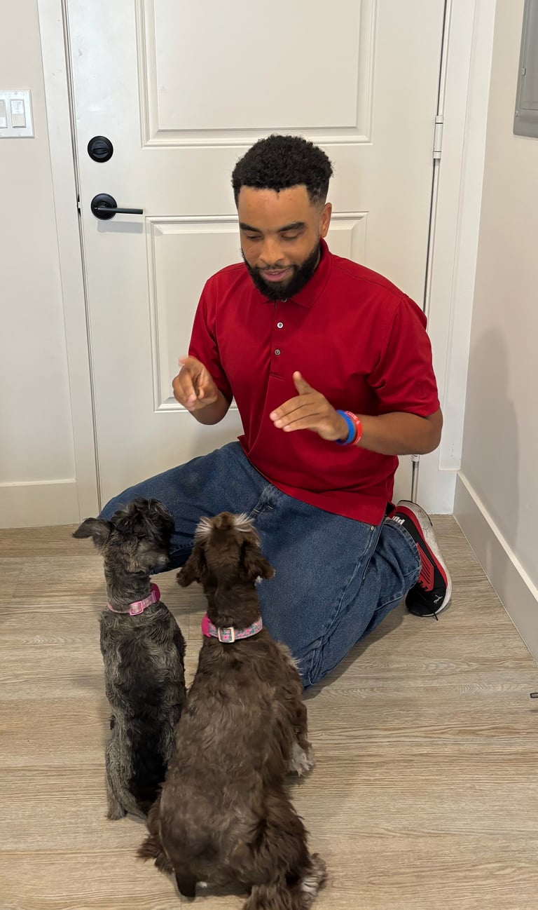 Man in red shirt crouching while playing with two brown dogs wearing pink collars indoors